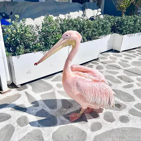 Famprikas House In * Mykonos Town